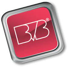 bvb logo